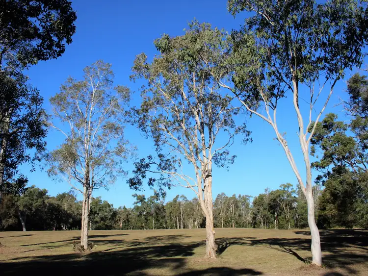 Sixth view of Homely land listing, 64 Lancaster Lane, Cooroibah QLD 4565