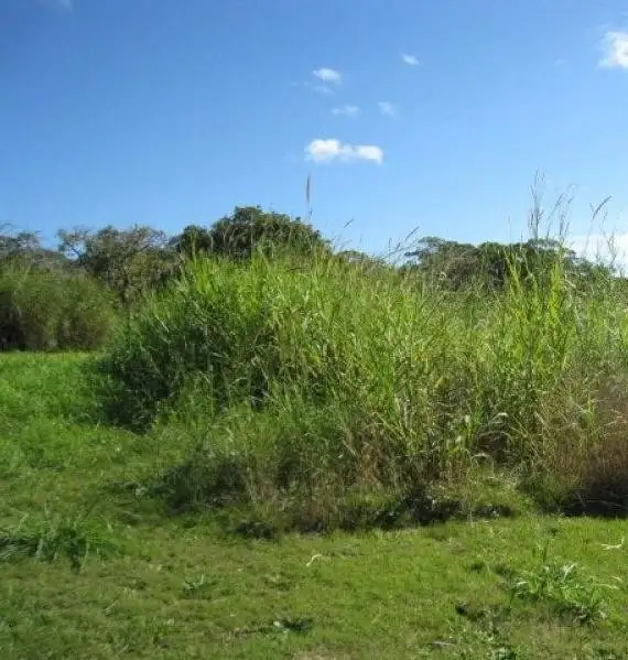 Main view of Homely land listing, 43 Judith Street, Russell Island QLD 4184