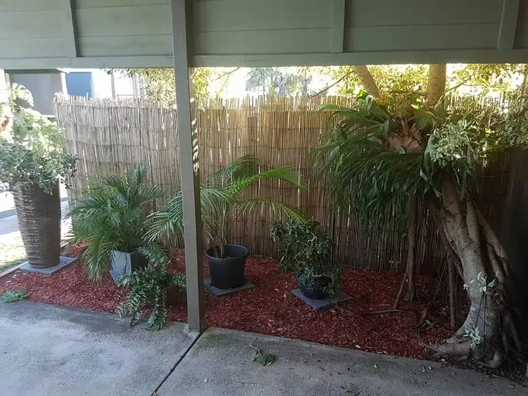Fifth view of Homely house listing, 319 Bradman Avenue, Maroochydore QLD 4558