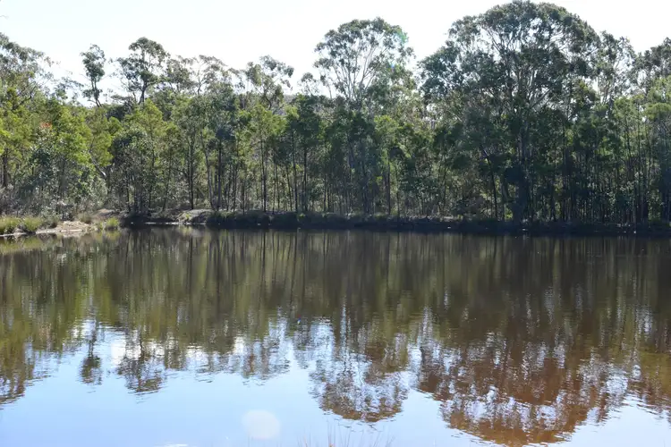 Third view of Homely rural property listing, 295 Rampion Hills Road, Marulan NSW 2579