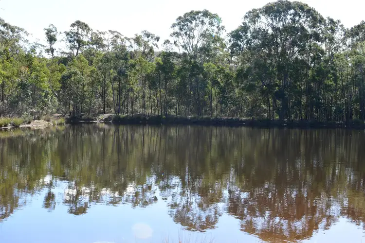 Sixth view of Homely rural property listing, 295 Rampion Hills Road, Marulan NSW 2579