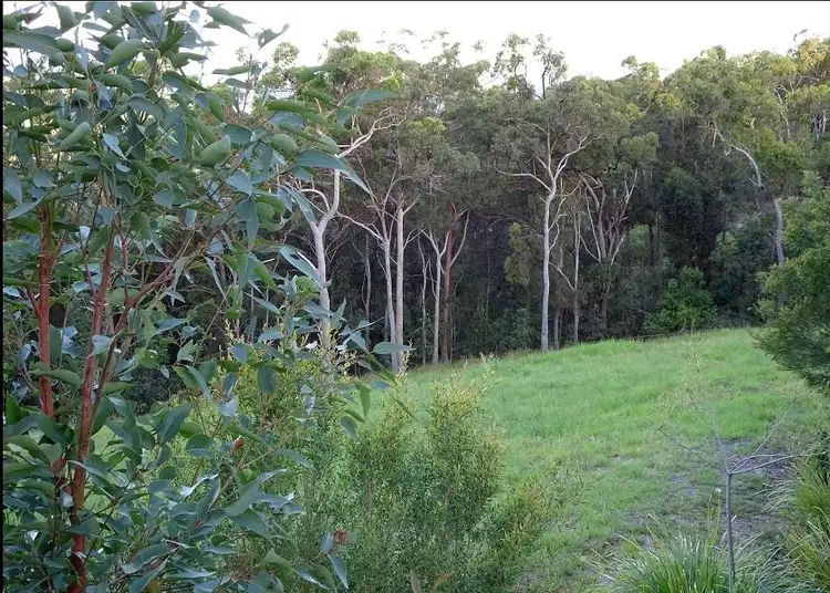Sixth view of Homely land listing, 21 Wedgetail Court, Valdora QLD 4561