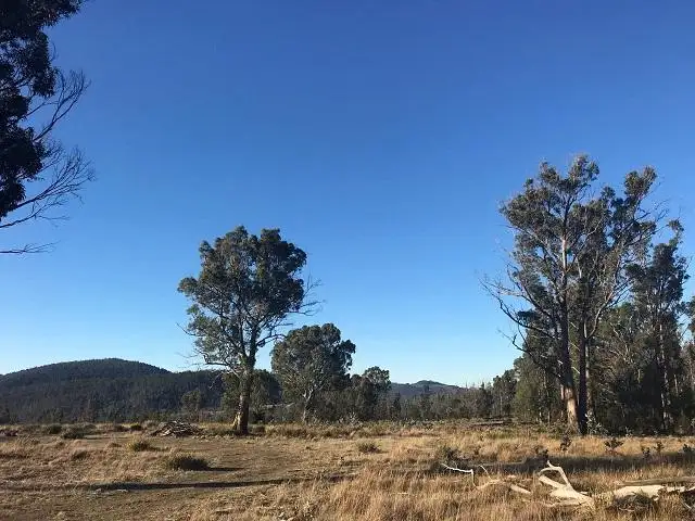 Third view of Homely land listing, 134 Drovers Rise, Carlton River TAS 7173