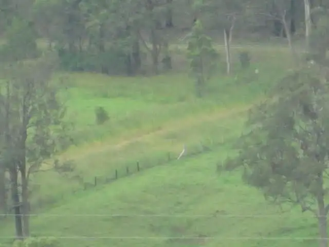 Fourth view of Homely house listing, 5697-5699 The Bucketts Way, Burrell Creek NSW 2429