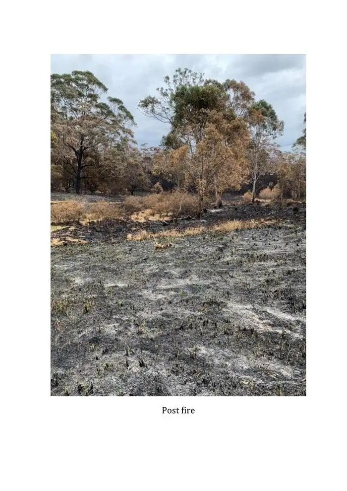 Sixth view of Homely land listing, Lot 107 Thrush Street, Bawley Point NSW 2539