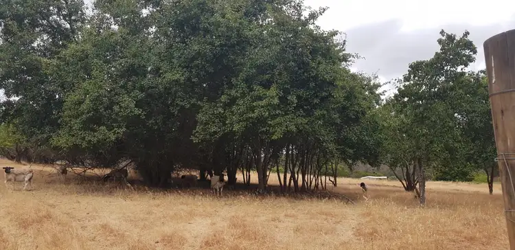 Third view of Homely land listing, 12 Palmers Road, Bridgetown WA 6255