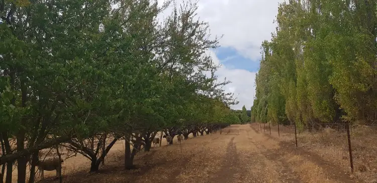 Fourth view of Homely land listing, 12 Palmers Road, Bridgetown WA 6255