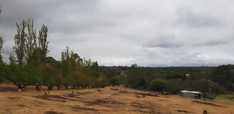 Fifth view of Homely land listing, 12 Palmers Road, Bridgetown WA 6255