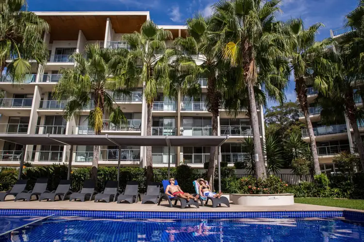 Lorikeet, 154 Musgrave Ave