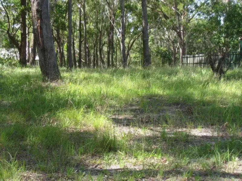 Main view of Homely land listing, 59 Minjerriba Road, Russell Island QLD 4184