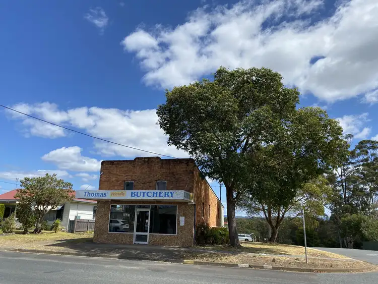 Main view of Homely other listing, 133 High Street, Wauchope NSW 2446