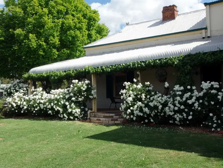 Main view of Homely house listing, 19 Bell Street, Yeoval NSW 2868