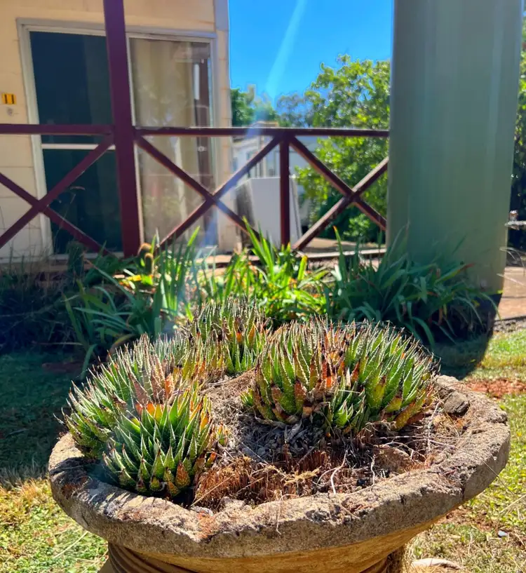 Second view of Homely house listing, 11 Bell Street, Yeoval NSW 2868