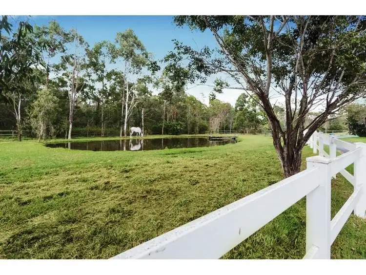 Third view of Homely house listing, 193 Bacton Road, Chandler QLD 4155