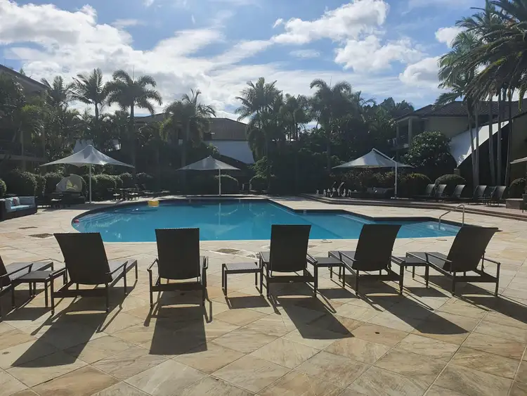 64 Palm Meadows Drive