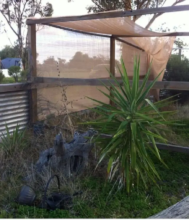 Third view of Homely house listing, 67 Dyer Street, Watchem VIC 3482