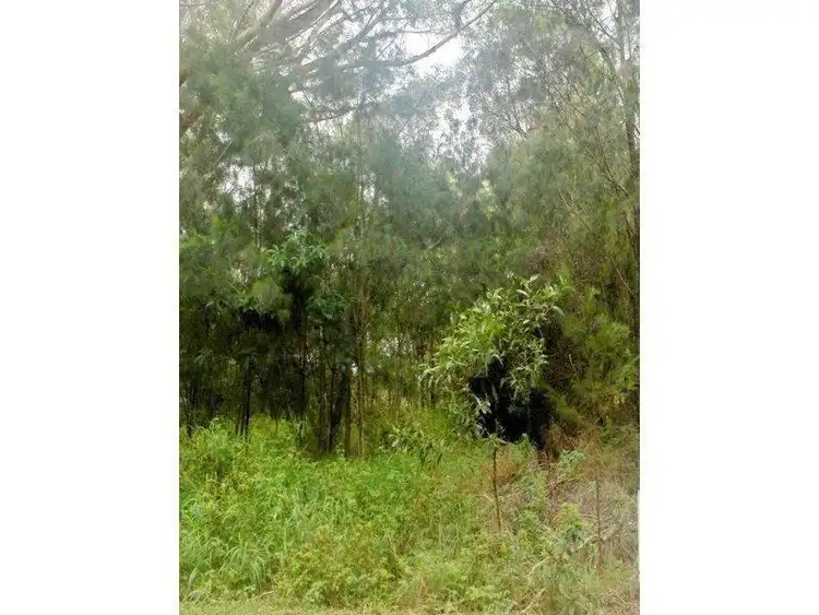 Second view of Homely land listing, 11 Coleus Street, Russell Island QLD 4184