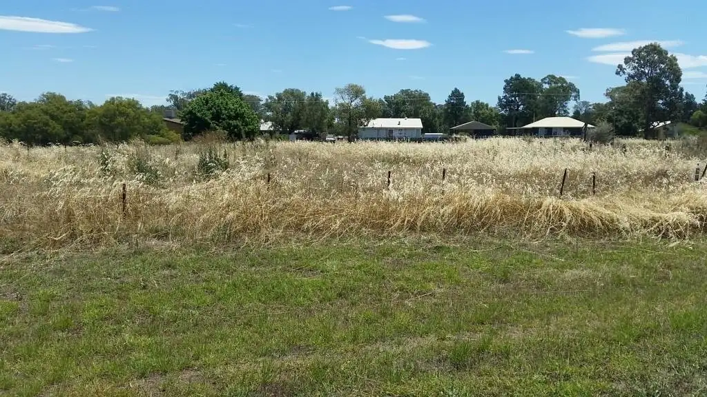 Main view of Homely land listing, Lots 6 and 7 Brookview Street, Trundle NSW 2875