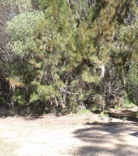 Third view of Homely land listing, 50 Jasper Street, Russell Island QLD 4184