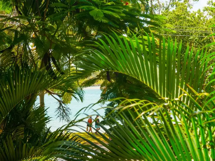 Fourth view of Homely unit listing, 4/273 Gympie Terrace, Noosaville QLD 4566