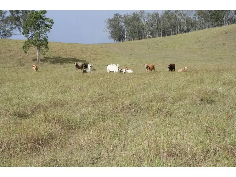 Sixth view of Homely rural property listing, Address available on request