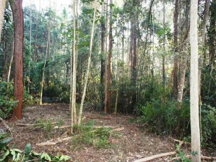 Seventh view of Homely land listing, Lot 11 Nottingham Court, Beerwah QLD 4519