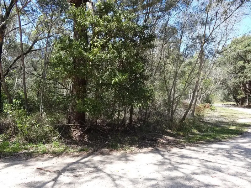 Main view of Homely land listing, 17 Boronia Avenue, Russell Island QLD 4184