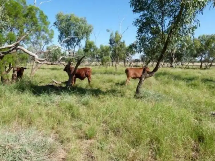Second view of Homely rural property listing, Address available on request