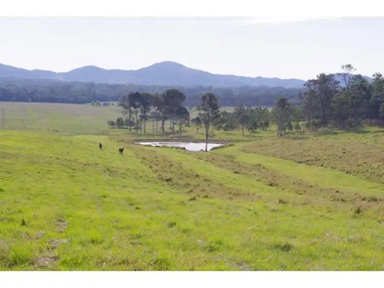 Fifth view of Homely rural property listing, 569 Counter Road, Wolvi QLD 4570