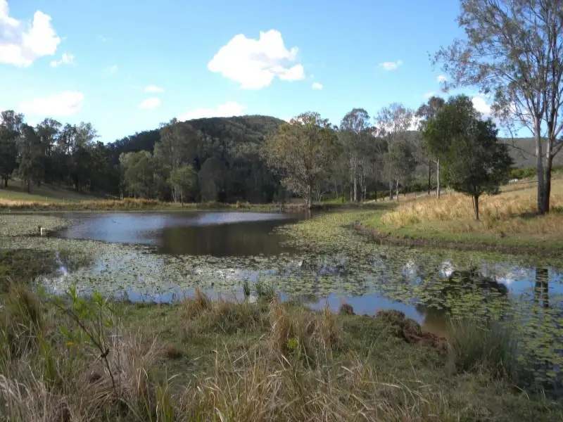 Main view of Homely rural property listing, 1455 Kandanga Creek Rd, Upper Kandanga QLD 4570