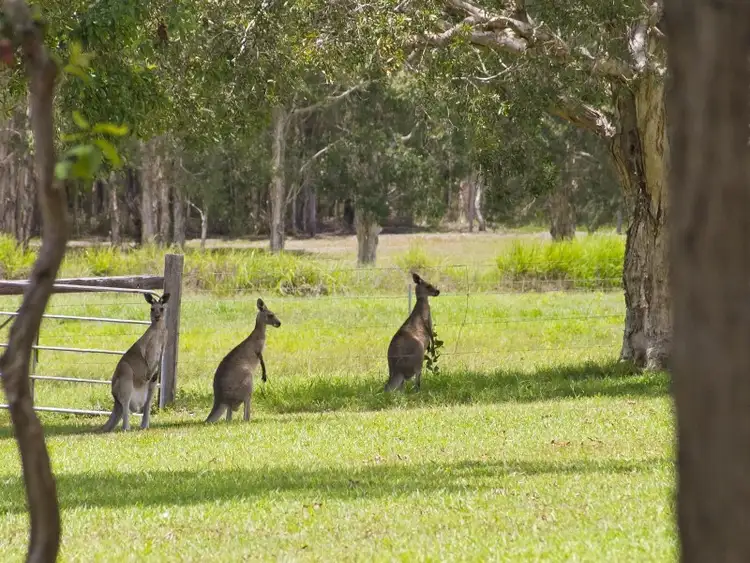 Lot 2, 8 Amaroo Place, Cooroibah QLD 4565