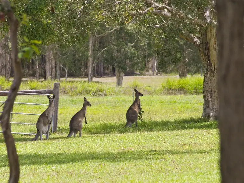 Main view of Homely land listing, Lot 2, 8 Amaroo Place, Cooroibah QLD 4565