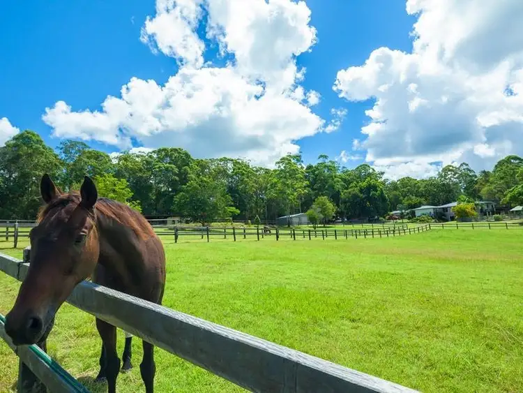 Third view of Homely house listing, 136 Gumboil Road, Tinbeerwah QLD 4563