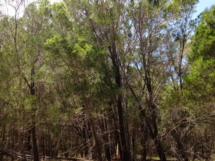 Second view of Homely land listing, 35 Beacon Drive, Russell Island QLD 4184