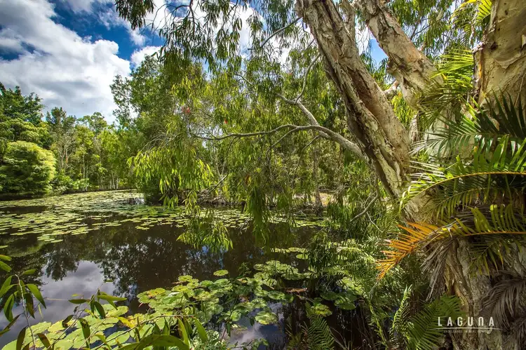 Fifth view of Homely house listing, 10 Cootharaba Downs Road, Cootharaba QLD 4565