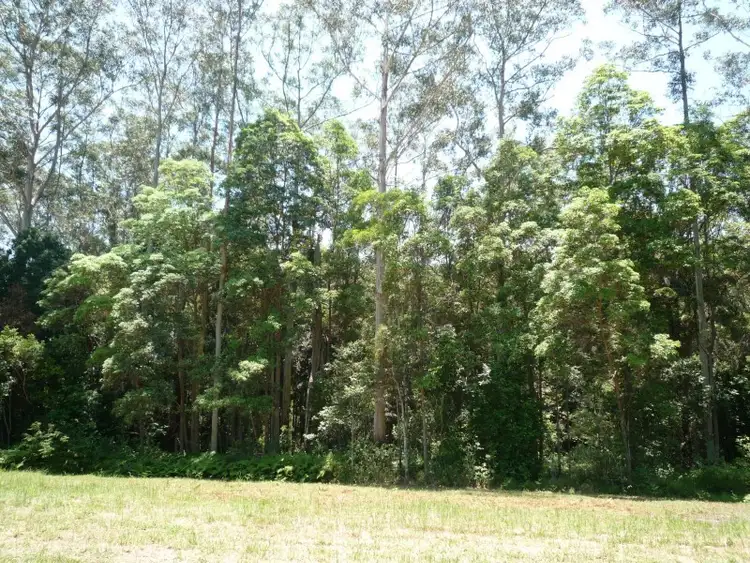 Third view of Homely rural property listing, 199 Hidden Valley Road, North Arm QLD 4561