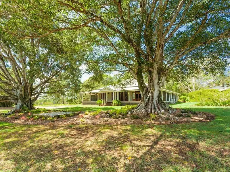 Main view of Homely house listing, 166 Cootharaba Downs Road, Cootharaba QLD 4565