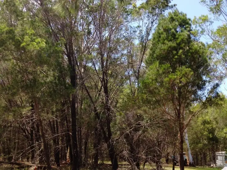 35 Beacon Drive, Russell Island QLD 4184