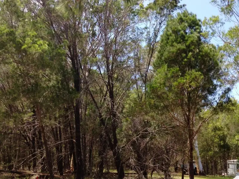 Main view of Homely land listing, 35 Beacon Drive, Russell Island QLD 4184