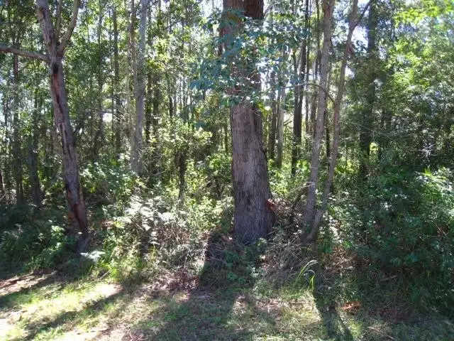 Second view of Homely land listing, 21 OXLEY AVE, Russell Island QLD 4184