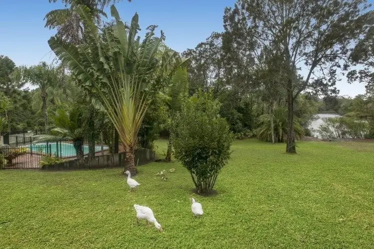 25 Banyandah Street, Yandina QLD 4561
