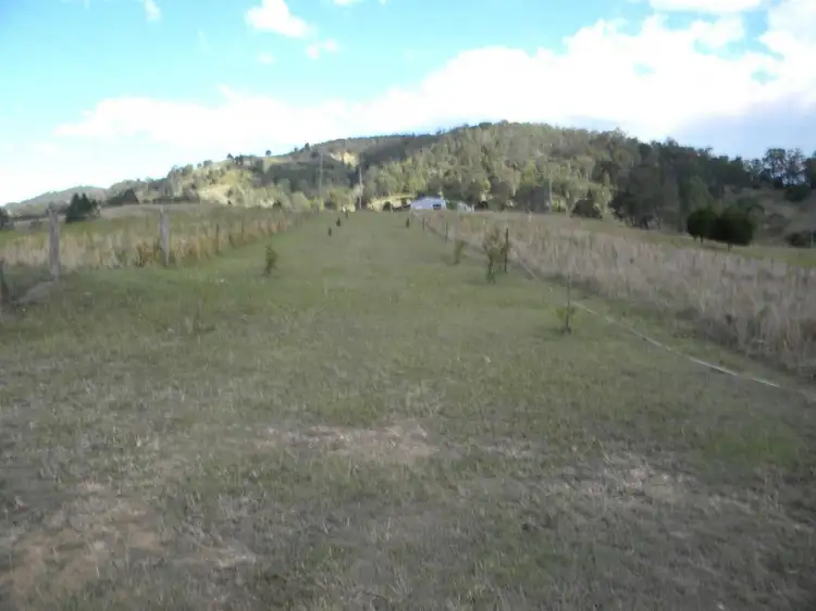 Seventh view of Homely rural property listing, 1455 Kandanga Creek Rd, Upper Kandanga QLD 4570