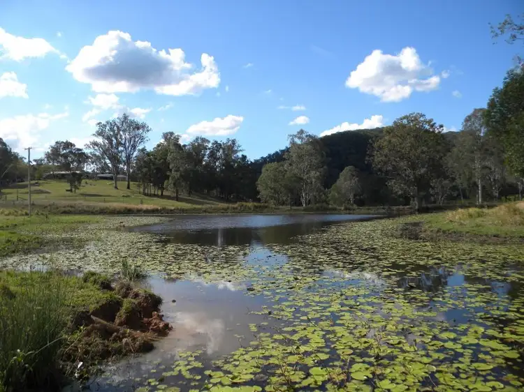 Sixth view of Homely rural property listing, 1455 Kandanga Creek Rd, Upper Kandanga QLD 4570
