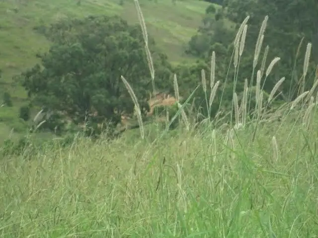 Seventh view of Homely house listing, 5697-5699 The Bucketts Way, Burrell Creek NSW 2429