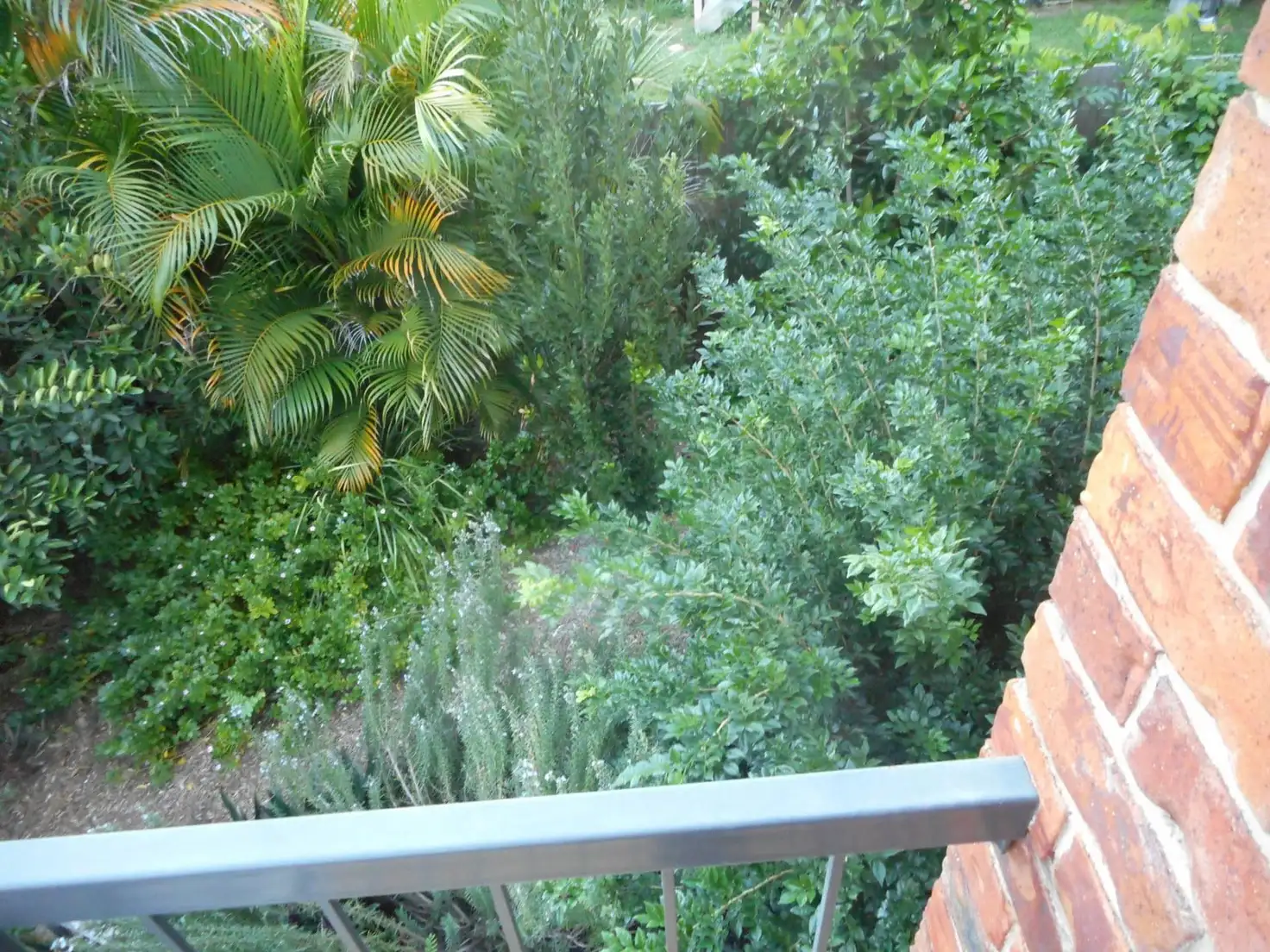 Main view of Homely unit listing, Unit 3/75 Macquarie Street, St Lucia QLD 4067