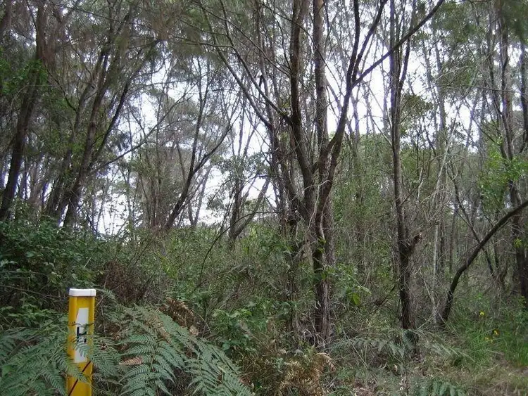 16 Azalea Street, Russell Island QLD 4184