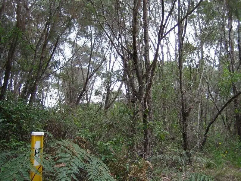 Main view of Homely land listing, 16 Azalea Street, Russell Island QLD 4184