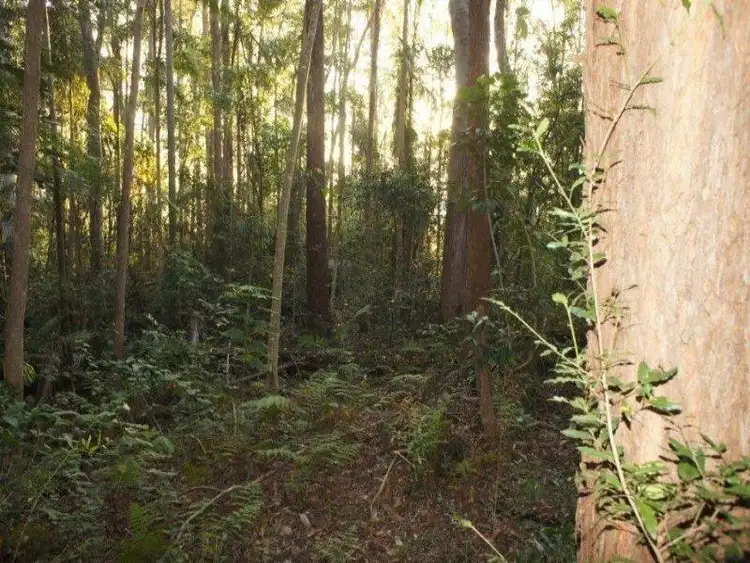Third view of Homely land listing, Lot 11 Nottingham Court, Beerwah QLD 4519