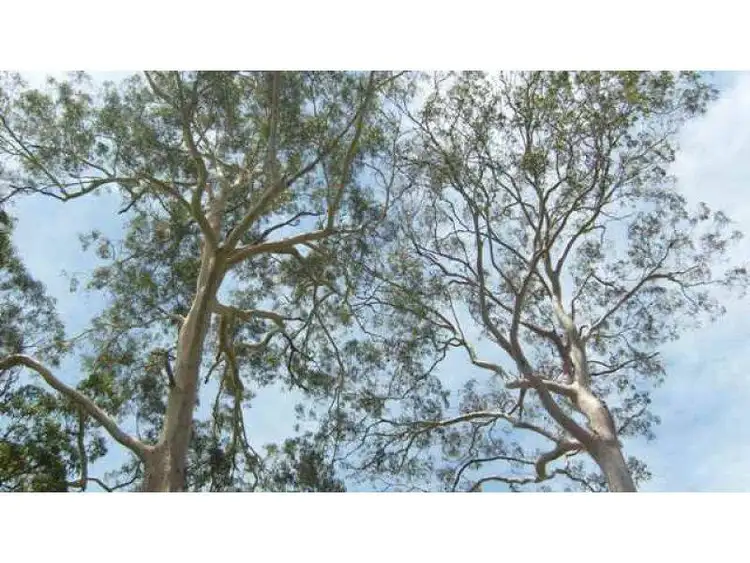 Third view of Homely land listing, Lot 2, 49 North Deep Creek Road, North Deep Creek QLD 4570
