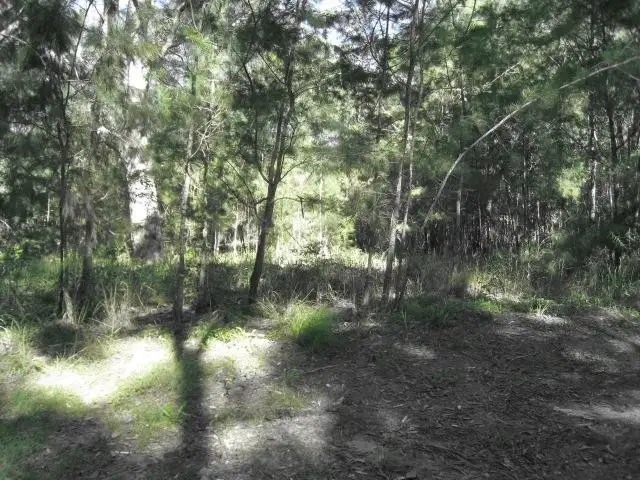 Main view of Homely land listing, 54 DEMPSEY ST, Russell Island QLD 4184